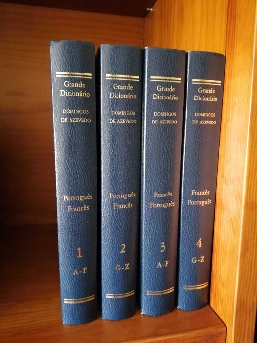 Grande Dicionário Português/Francês e Francês/Português
