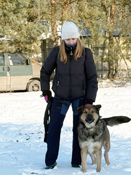 Bob kochany pies do adopcji