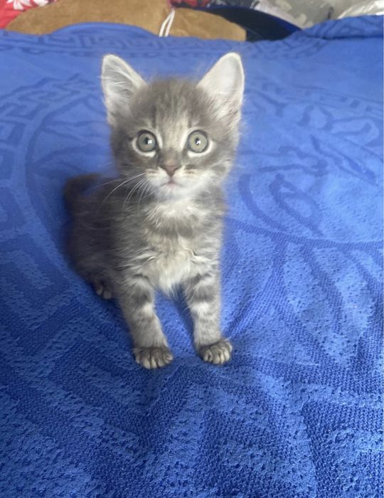 Такой красивый мальчик