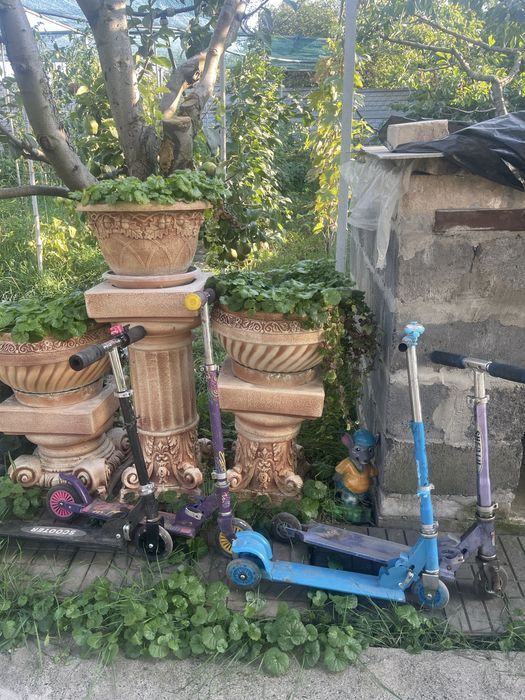 Самокаты бесплатно