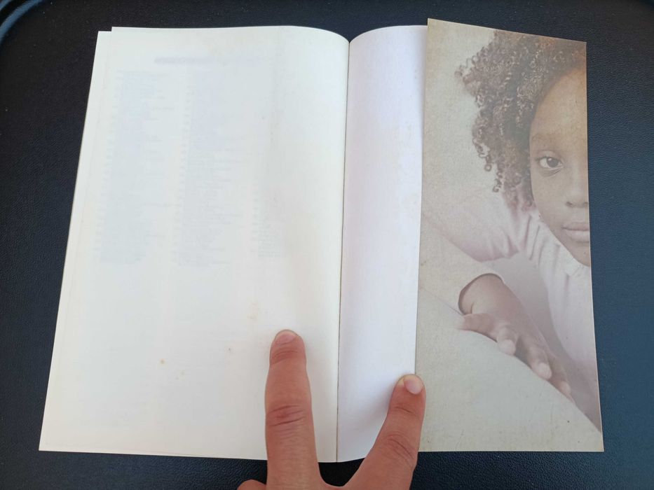 Livro "A Luz de um Novo Dia", Torey Hayden