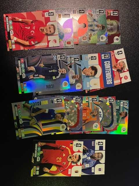 Karty Panini dla "net"