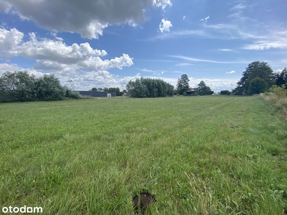 Grunt 1,66 ha z dużymi możliwościami - obok galerii Pasaż Kępiński !