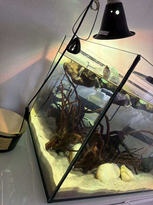 vendo aquario 80cmx40cm com acessorios