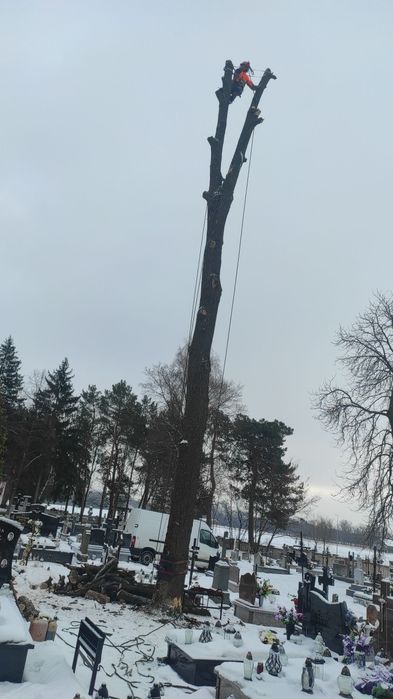 Czyszczenie Działek,Wycinka Lasów , Rębak,Cmentarze