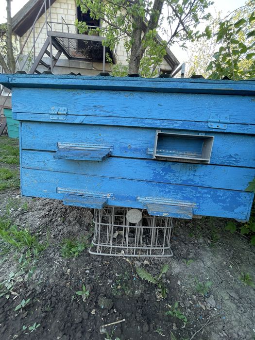 Продам вулики Дадан б/у