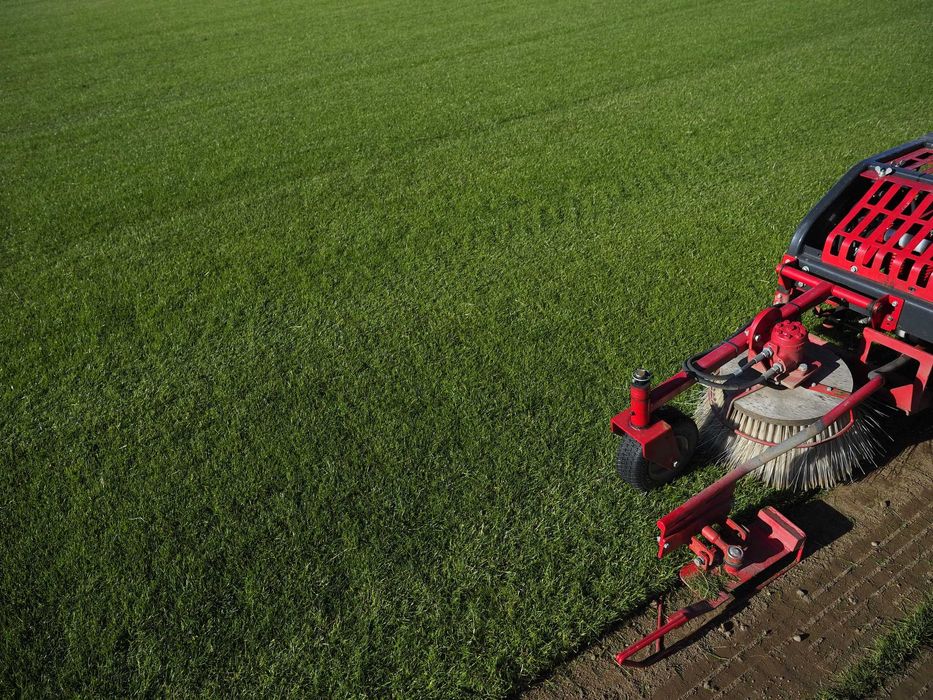 Trawniki z rolki Green Grass/Plantacja/Producent/Najlepsza Jakość!