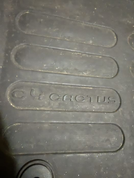 Tapetes de borracha C4 Cactus