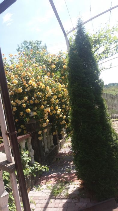 Будинок продажа в затишному місці