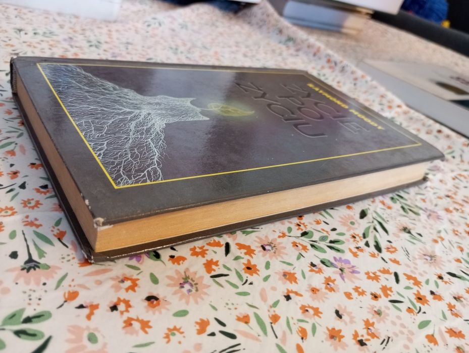 Życie po życiu Moody