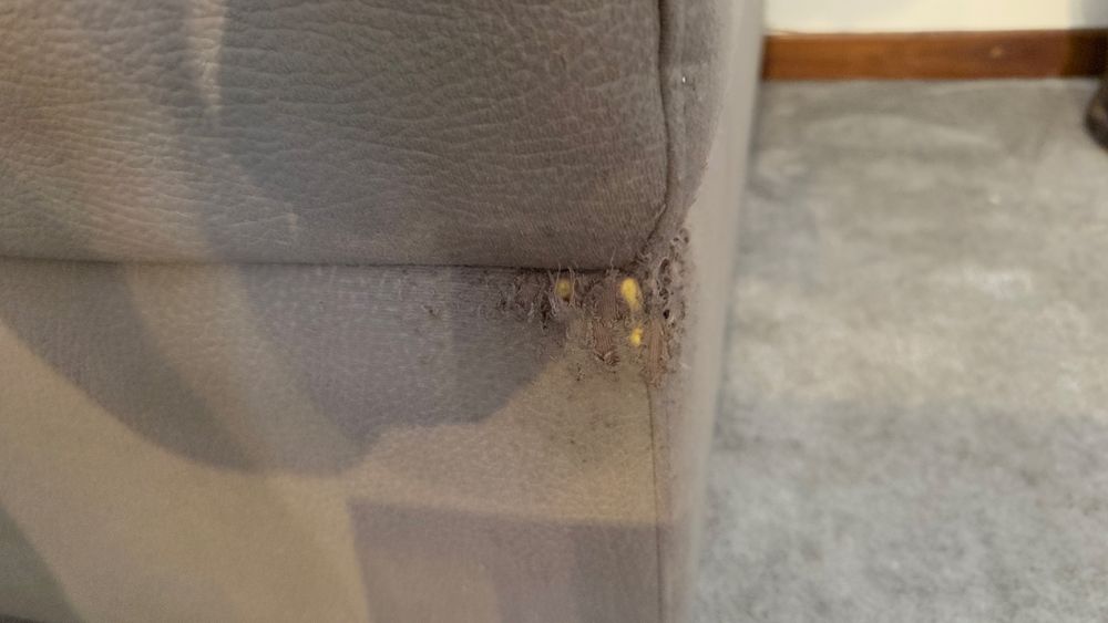 Sofa de 4 com chaise lounge e eletricamente inclinavel