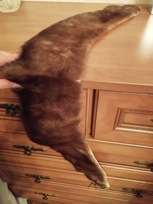 Продам воротник норка