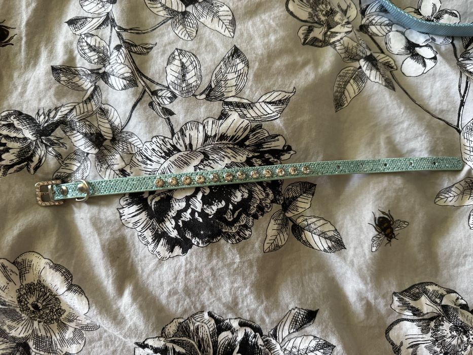 Поводок и ошейник