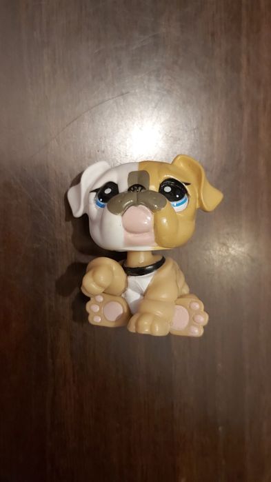LPS Littlest pet shop buldog # 3587
