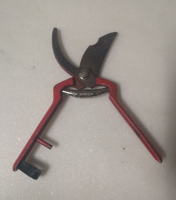 Tesoura para Podar64552715873281121