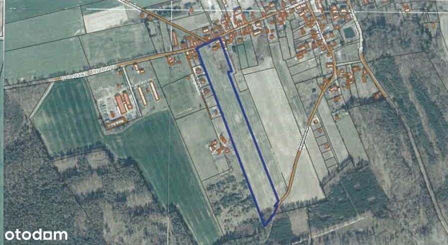 Syndyk sprzeda 1/12 udziału gospodarstwo rolne po obniżonej cenie - View 3