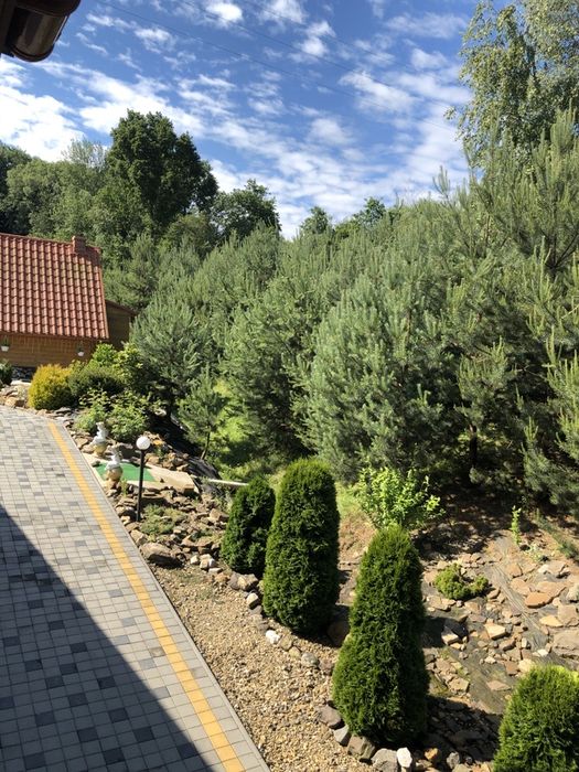 Оренда будинку- база відпочинку( оренда номерів-Доміки]