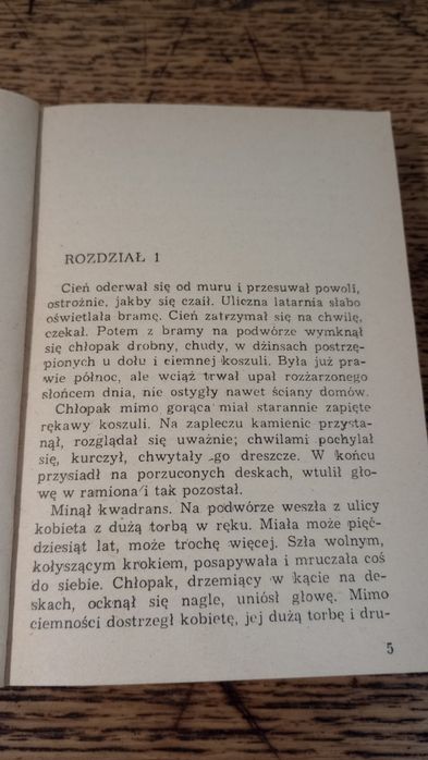 Za progiem mroku. Anna Kłodzińska