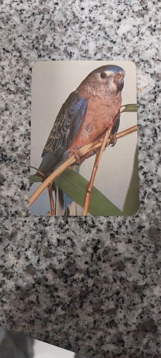 Calendário    1989
