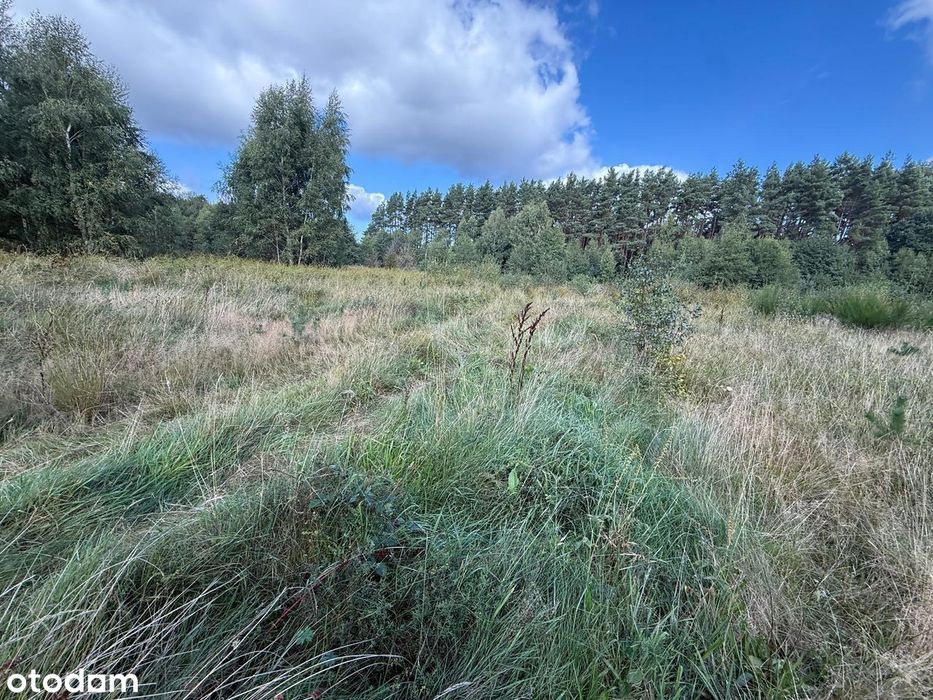Gotowy Projekt Inwestycyjny! Działka 2586 M²  Sasino