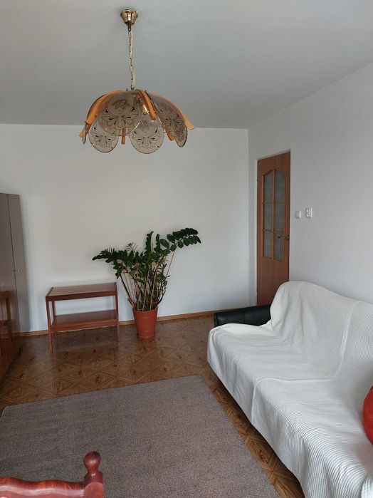 Mieszkanie do wynajęcia 38 m - Widok 5