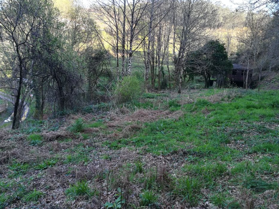 Terreno 4.460 m² com Azenha e Projeto – Água de Minas.