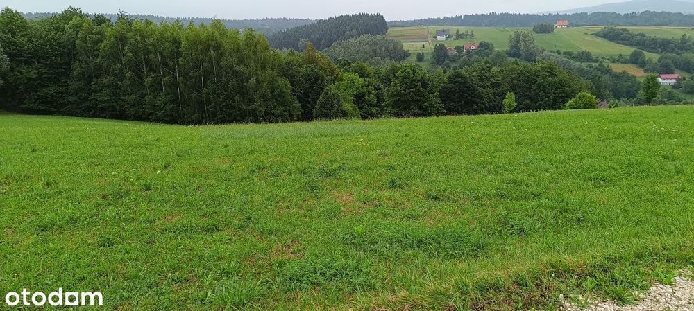 Góry , lasy  !!!     Ciężkowice – Bobowa - Siedliska  !!!