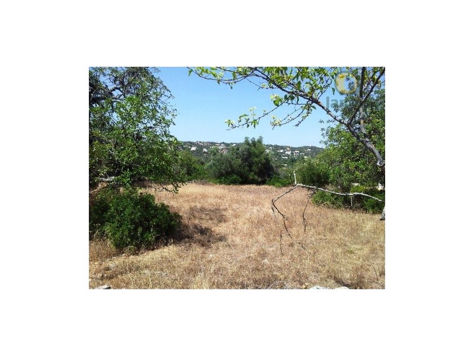 Terreno perto de São Brás de Alportel