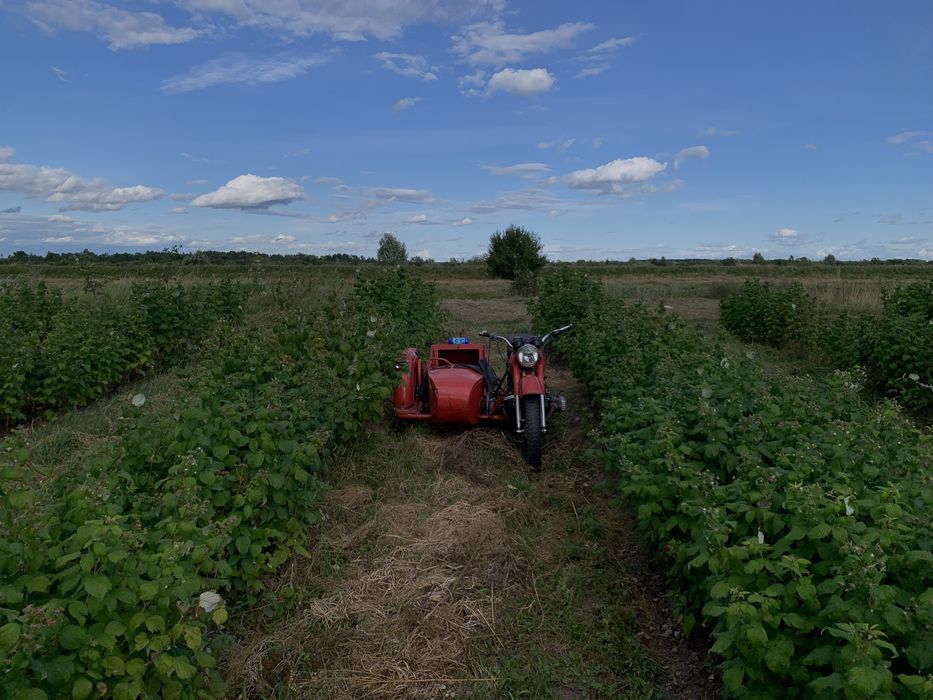 Мт 11     Дніпро