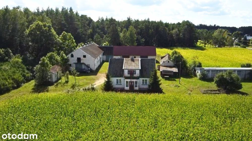 Siedlisko Na Podlasiu | 1,28 Ha| Dom + Zabudowania | Las Obok | M.huta