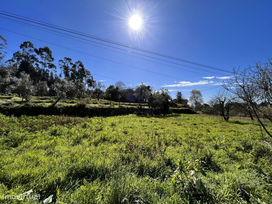 Lote de Terreno  Venda em Rio de Loba,Viseu