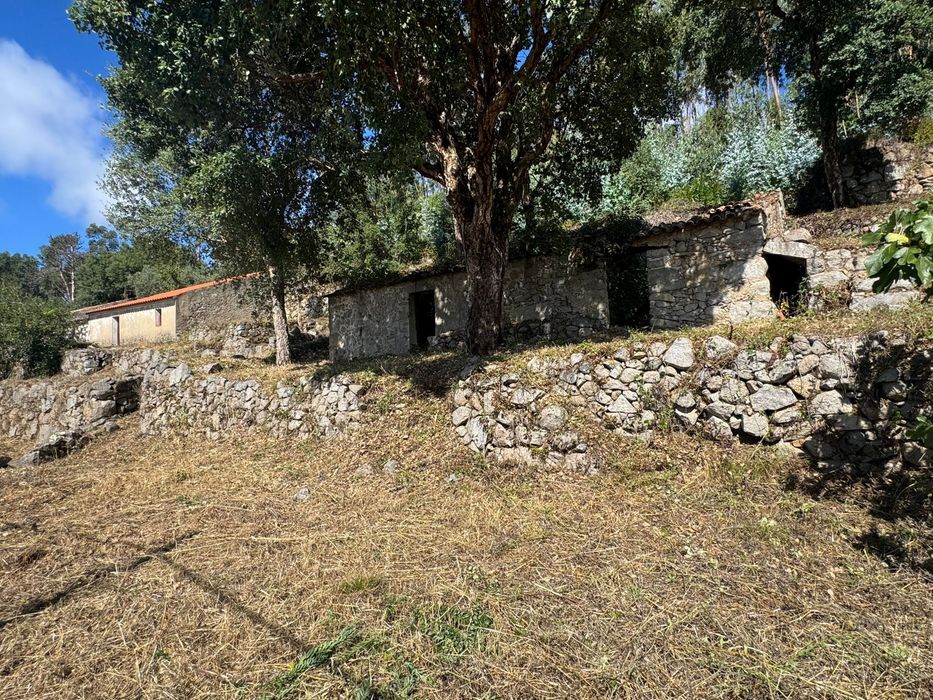 Ruin for reconstruction- Foia Monchique