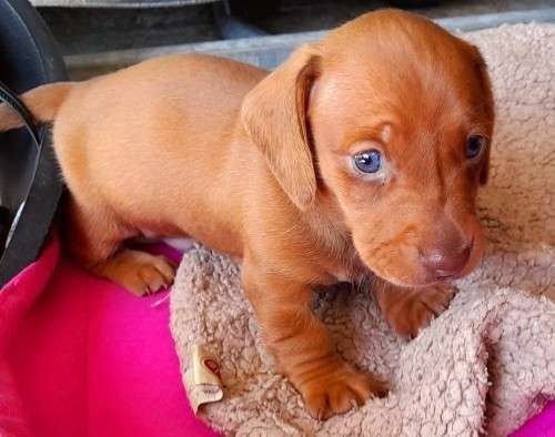 Гармонія кольору і душі