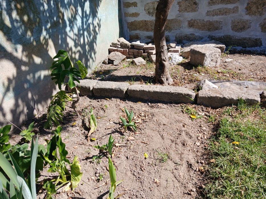 Pedras para muro para dar todas as pedras