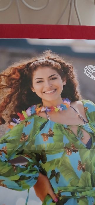 Poster Filipa Areosa/Mikaela Lupo