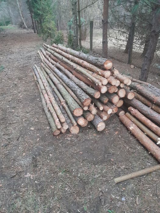 Stemple budowlane 3,1 m