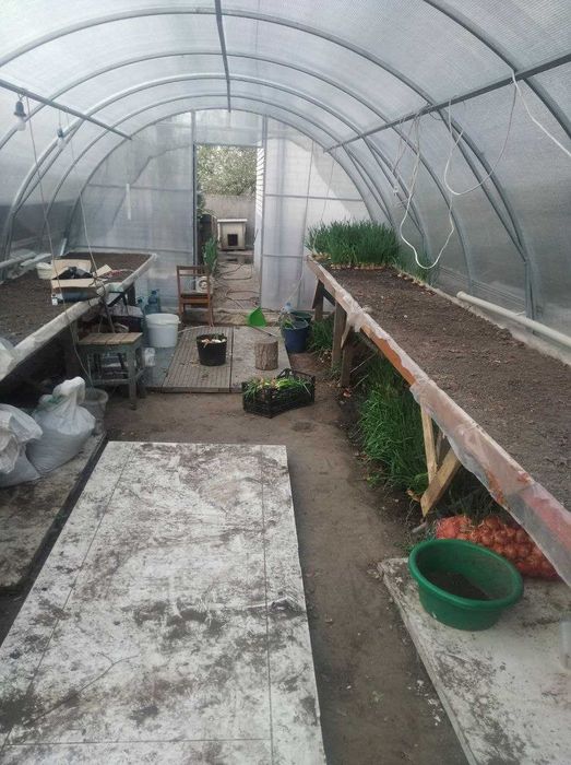 Продам отапливаемую теплицу готовый бизнес по выращиванию зелени .