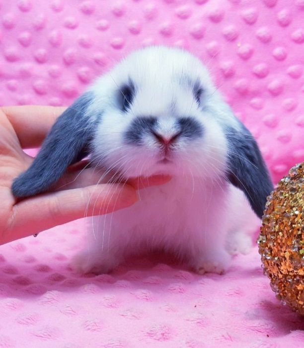 Ніжність у кожному русі!