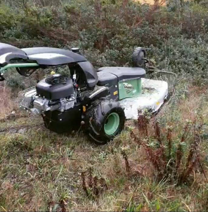 Manutenção de jardins serviço de rachado ador,  motosserra e roçadora