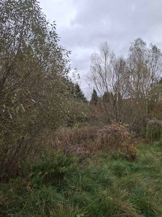 Atrakcyjna dzialka w Sulęcinie z wydana decyzją  geotechniczna!!! - Widok 6