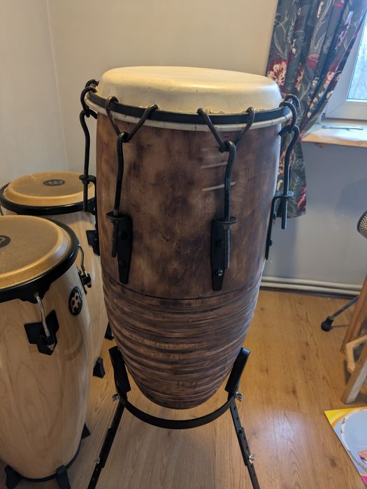 Conga 13 "x 65 cm wys.