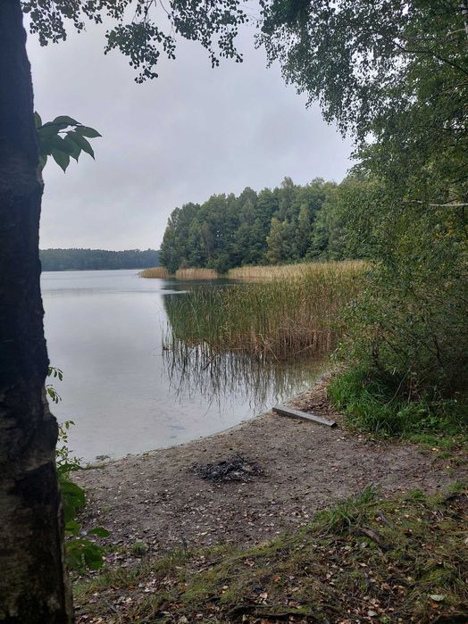 Działka z linią brzegową Gopło - View 2