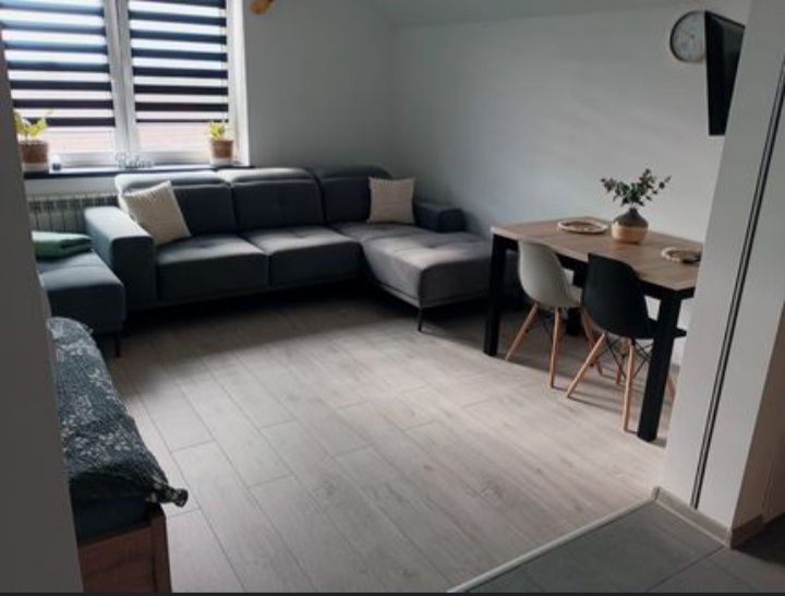 Wolne  Apartamenty domki  Energylandii