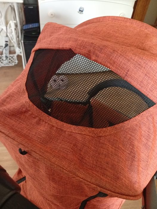 Коляска прогулочная