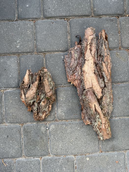Kora ogrodowa ręcznie sortowana gruba
