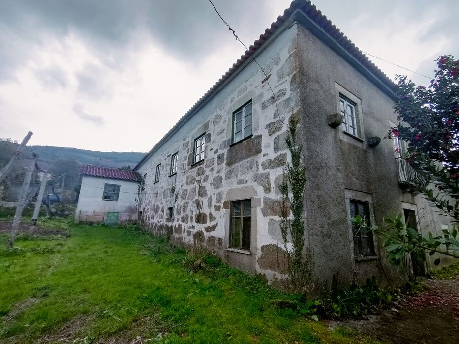 Quinta com 20 000 M2 em Santa Marinha - Ribeira Pena