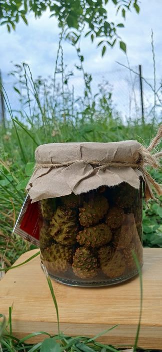Варення, сироп з соснових шишок, натуральне, карпатське, крафтове
