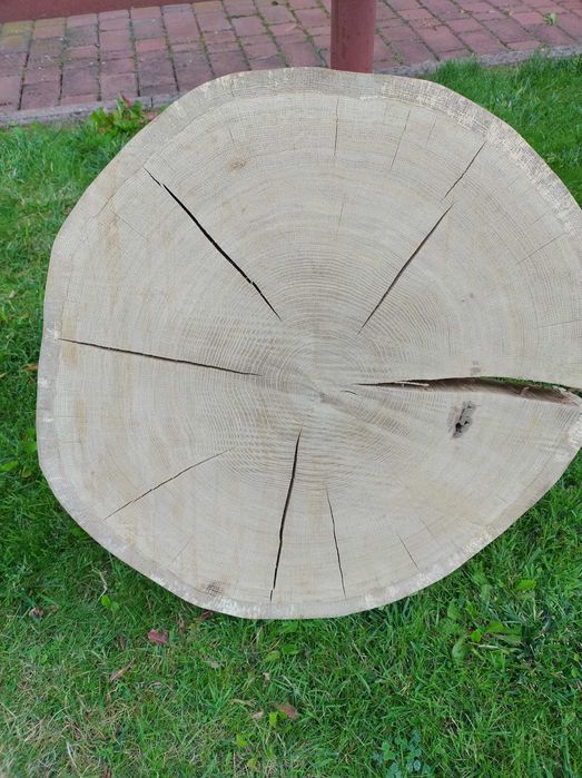 Plaster drewna, blat, dąb sprzedam