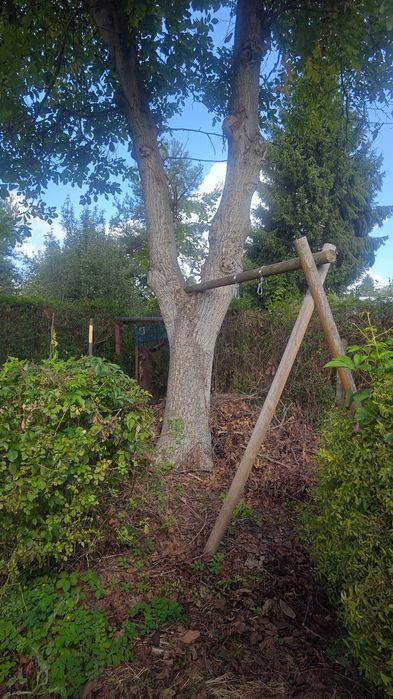Ogródek działkowy ROD im. Tadeusza Kościuszki - Widok 2