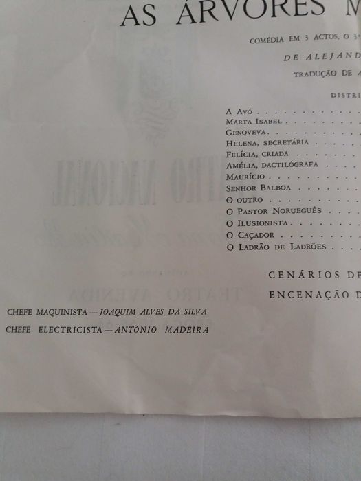 peca no Teatro Nacional D. MARIA II - As arvores morrem de pé em